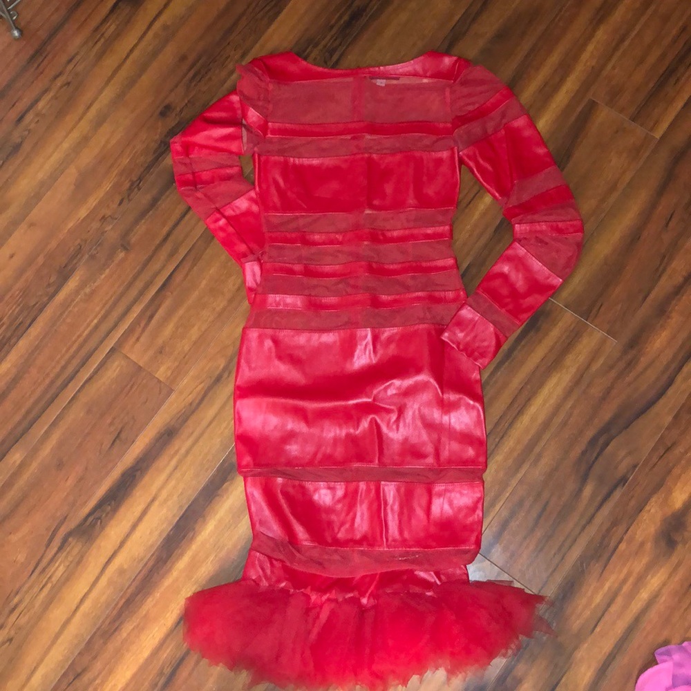 Red Leather/ Sheer dress